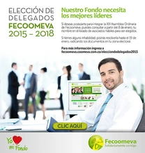 p_FECO_ELECCION_ENE2015