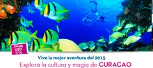 curacao45470