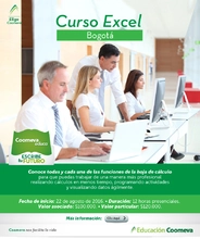 Curso de excel Bogota