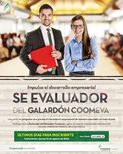 Refuerzo Mailing evaluadores Galardon-01 (4)