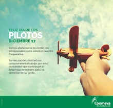 Tarje_Piloto