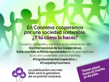 Popup-Coopsday