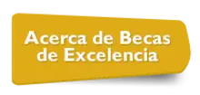 Botón acerca de Becas de Excelencia 