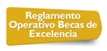 Botón Reglamento operativo Becas de Excelencia 