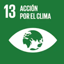 13 ACCION POR EL CLIMA