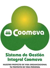 ima_gestion_logo.jpg