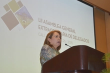 Asamblea Extraordinaria de Delegados