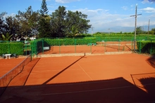 Tenis de Campo