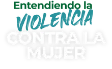 Entendiendo la violencia contra la mujer 