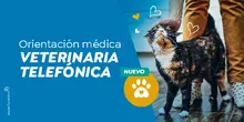 Orientación Médica Veterinaria Telefónica