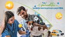 Orientación Médica Veterinaria Telefónica