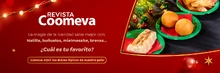 PLATOS NAVIDEÑOS