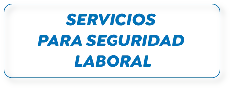 SERVICIOS PARA SEGURIDAD LABORAL