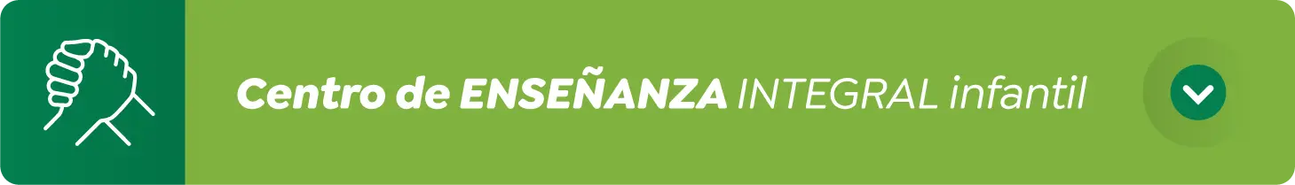 Centro de enseñanza integral infantil