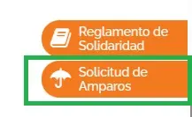 Selecciona solicitud de amparos