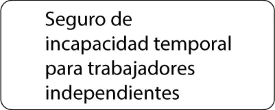 Seguro de incapacidad temporal para trabajadores independientes Aprovechar