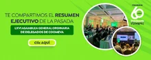 BANNER-REVISTA-COO