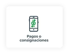 Pagos o consignaciones