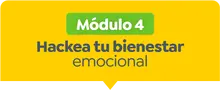 Módulo 4