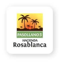 PASOLLANO 5 - ROSABLANCA