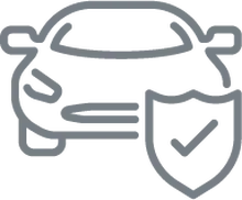 Veh&iacute;culo sustituto