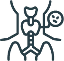 Endocrinolog&iacute;a