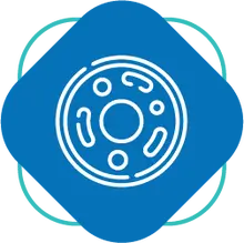 Estudios anatomopatol&oacute;gicos