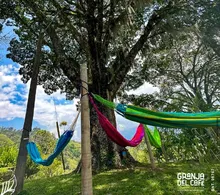 Campamento formativo Regional Medell&iacute;n