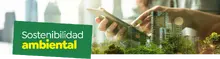 Sostenibilidad, un amigo para el futuro