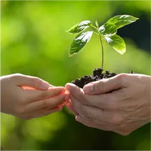 Sostenibilidad ambiental