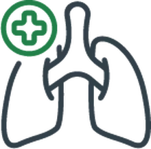 Porque mejora nuestra salud y nos evita enfermedades, especialmente las respiratorias