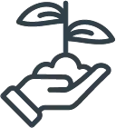 &Uacute;nete a la siembra de &aacute;rboles. T&uacute; lo puedes hacer a trav&eacute;s de  Bosque Coomeva.