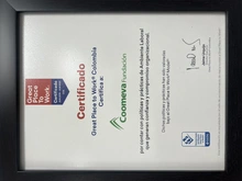 Great Place to Work 2019 - 2020