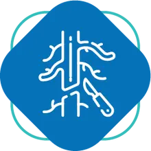 Cirug&iacute;a vascular