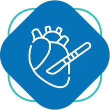Cirug&iacute;a cardiovascular