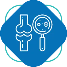 Ortopedia artrosc&oacute;pica