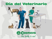 veterinario