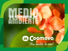 medioAmbiente