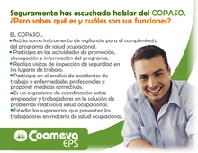 copasoEPS_2008_1