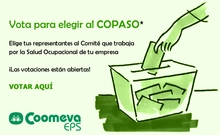 copasoEPS_2008_3