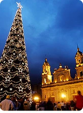 C8250_26778_alumbradoNavideño