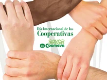 cooperativas