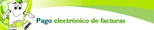 registro_rpagpelectronico_intranet