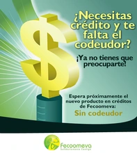 p_creditosincodeudor