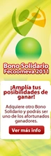 b_bonoSolidario2VER