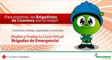 p_Brigadistas3