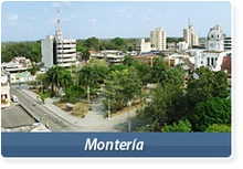 29590_monteria