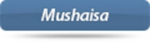 38429_mushaisa