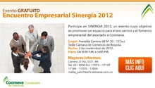 p_Sinergia2012