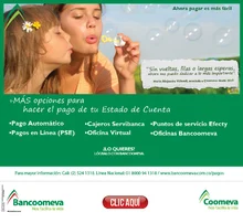 p_Banco_EstadoCuenta